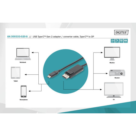 USB KABL TYPE C - DP, M/M 4K/60HZ  AK-300333-020-S