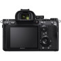 Sony Alpha a7 III Camera Body