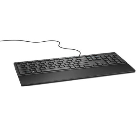 Dell Multimedia keyboard KB216